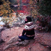 Dan Dorrough; Van Trip; Travel